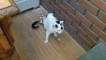 101_1702_edited-1
