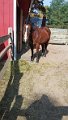 1029131256_edited-1