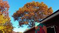 1102131008_edited-1