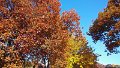 1102131008a_edited-1