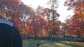 1102131009_edited-1