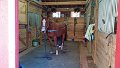 1102131009a_edited-1