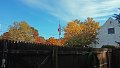 1102131016_edited-1