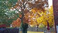 1102131207_edited-1