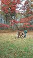 1102131237_edited-1