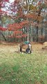 1102131237a_edited-1