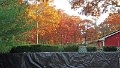 1102131631a_edited-1