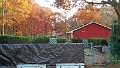 1102131632_edited-1