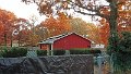 1102131632a_edited-1