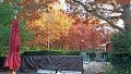 1102131632b_edited-1