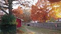 1102131632c_edited-1