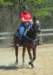 dtc005_edited1_small.jpg