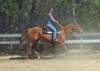 dtc009_edited1_small.jpg