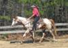 dtc011_edited1_small.jpg