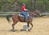 dtc013_edited1_small.jpg