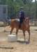 dtc014_edited1_small.jpg