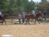 dtc015_edited1_small.jpg