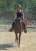 dtc016b_edited1_small.jpg