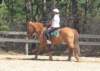 dtc018_edited1_small.jpg