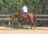 dtc021_edited1_small.jpg