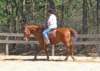 dtc022_edited1_small.jpg