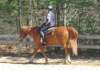 dtc023_edited1_small.jpg