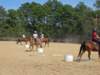 dtc025_edited1_small.jpg