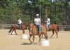 dtc025b_edited1_small.jpg