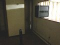 IMG_0331