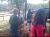 ihabeccleanup041909038_edited1_small.jpg