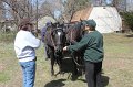 IMG_4063