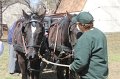 IMG_4064