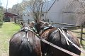 IMG_4065