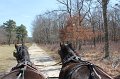 IMG_4075