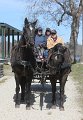 IMG_4091