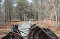 IMG_4092