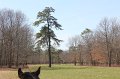 IMG_4095