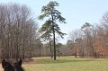IMG_4096
