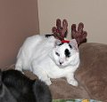 IMG_1961_edited-1