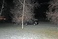 IMG_2123A_edited-1