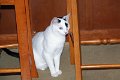 IMG_2168_edited-1