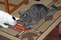 IMG_2169_edited-1