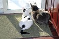 IMG_2172_edited-1