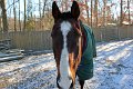 IMG_2178_edited-1