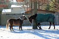 IMG_2207_edited-1