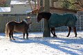 IMG_2210_edited-1