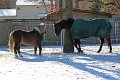 IMG_2211_edited-1