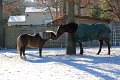 IMG_2213_edited-1