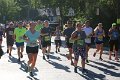 IMG_7535