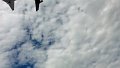 100_0131_edited-1